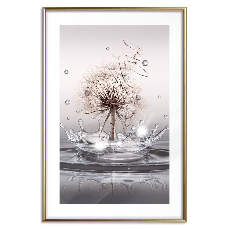 Poster Wind Drops - dandelion in water creating ripples on a light background 132197 additionalImage 16