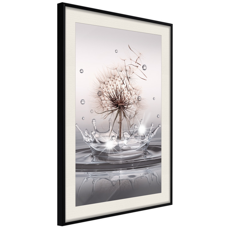 Poster Wind Drops - dandelion in water creating ripples on a light background 132197 additionalImage 2