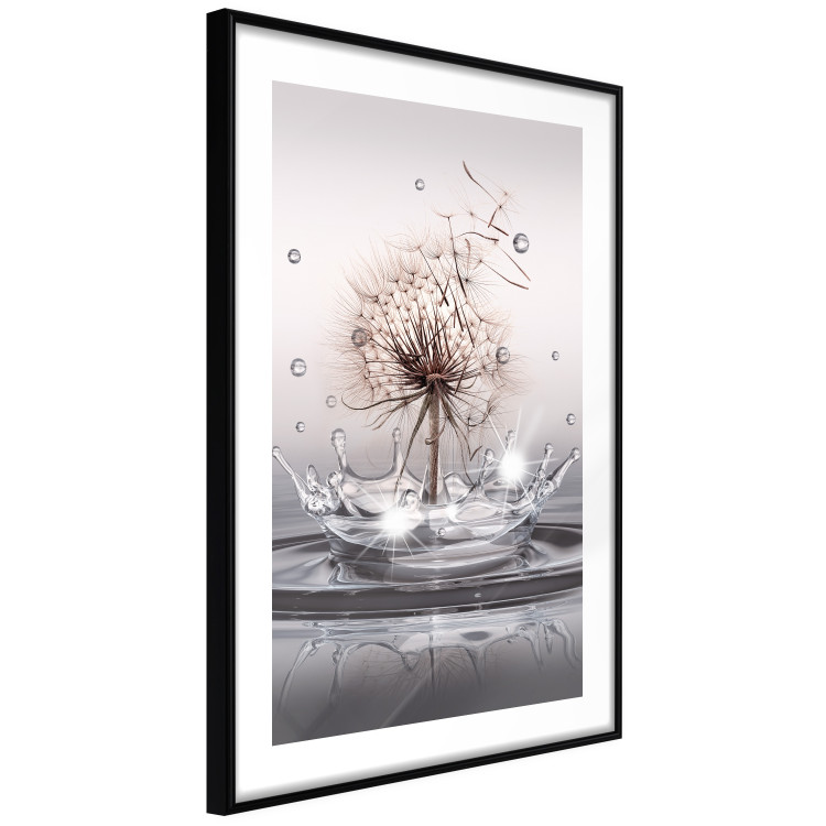 Poster Wind Drops - dandelion in water creating ripples on a light background 132197 additionalImage 8