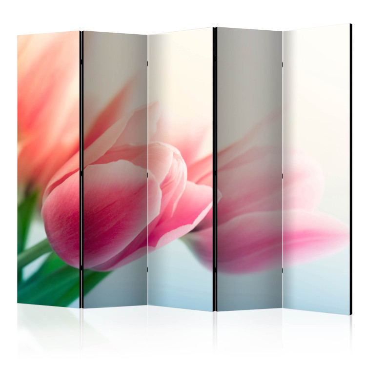 Room Divider Screen Spring and Tulips II (5-piece) - pattern in pink flowers on a white background 132797