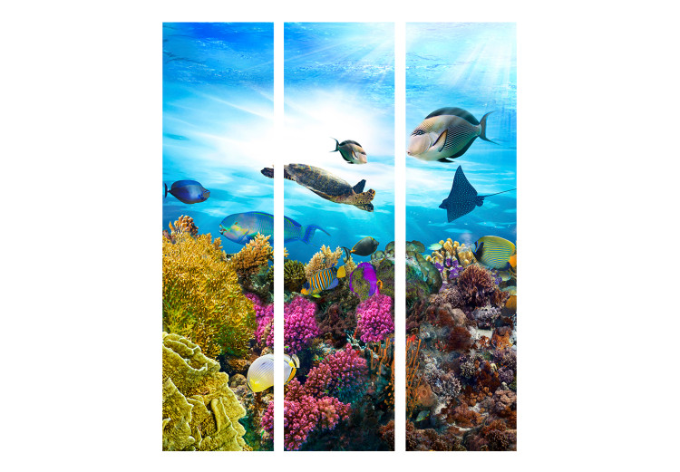Room Separator Colorful Reef (3-piece) - fish and marine plants against an ocean backdrop 133397 additionalImage 3