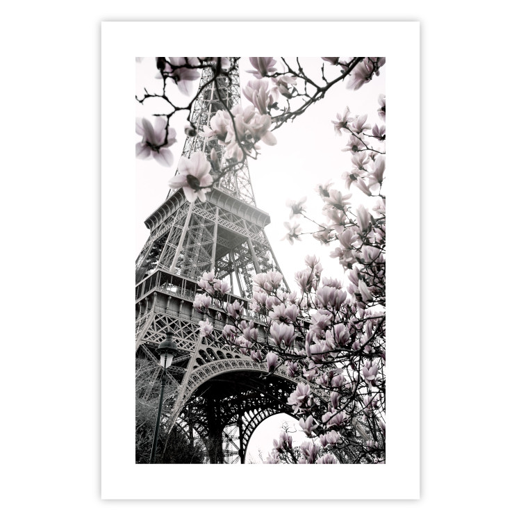 Wall Poster Parisian Magnolias - bright landscape of magnolia flowers with the Eiffel Tower in the background 135597 additionalImage 11