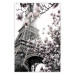 Wall Poster Parisian Magnolias - bright landscape of magnolia flowers with the Eiffel Tower in the background 135597