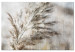 Canvas Art Print Dried branch - gray-beige composition in Shabby Chic style 136097