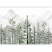 Photo Wallpaper Mountain landscape - tall green trees on a background of pointed grey mountains 144797 additionalThumb 5