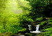 Canvas Art Print Fairy-tale Forest (1-part) - quiet waterfall in a green nook of trees 94297 additionalThumb 4