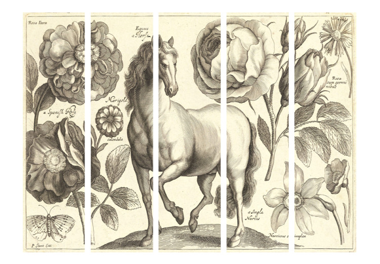 Room Divider Horse II - romantic animal and plants on a light background in retro motif 95697 additionalImage 3