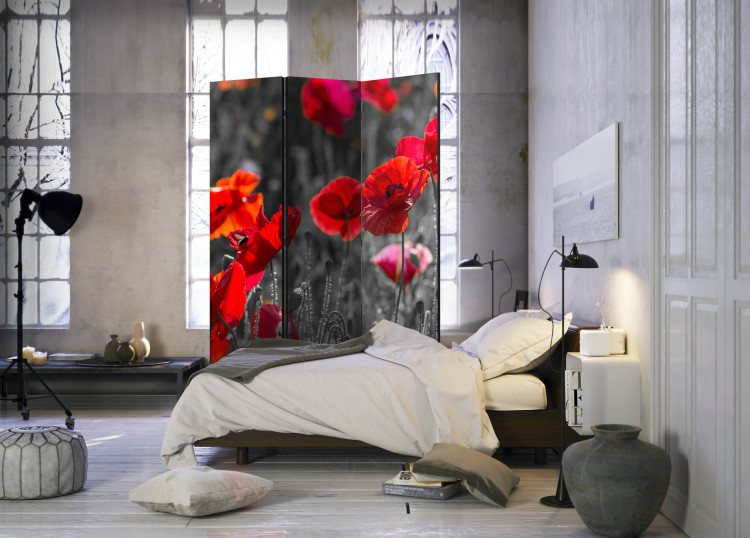 Folding Screen Red Poppies - summer flowers of red poppies on a black and white meadow 96997 additionalImage 2