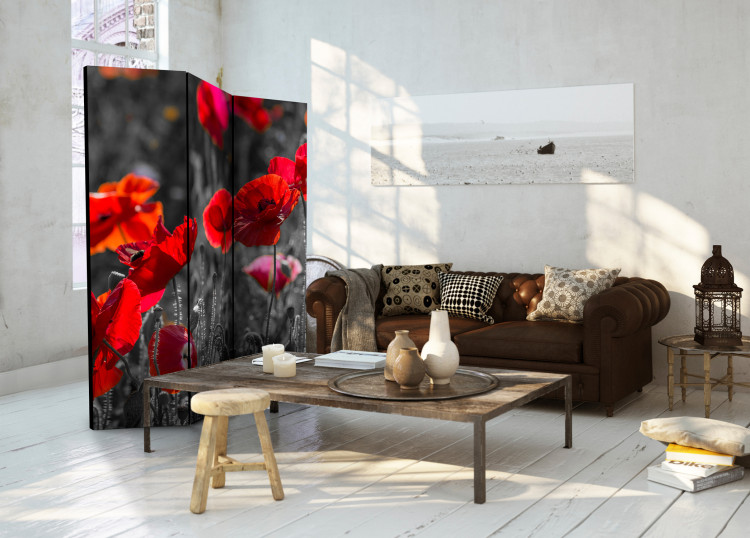 Folding Screen Red Poppies - summer flowers of red poppies on a black and white meadow 96997 additionalImage 4