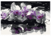 Paint by Number Kit Violet Orchids 107508 additionalThumb 7