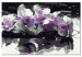 Paint by Number Kit Violet Orchids 107508 additionalThumb 6