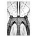 Poster Architectural details - black and white shot of a bridge seen from below 115008