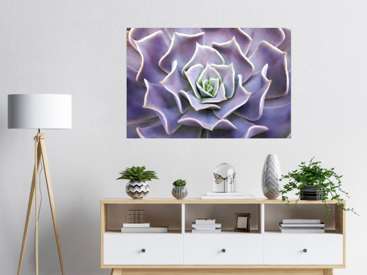 Wall Poster Purple Succulent - plant composition in lavender-colored leaves 117208 additionalImage 27