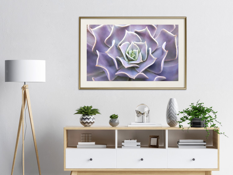 Wall Poster Purple Succulent - plant composition in lavender-colored leaves 117208 additionalImage 23