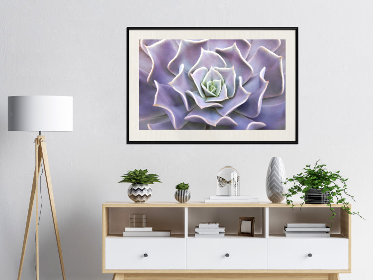 Wall Poster Purple Succulent - plant composition in lavender-colored leaves 117208 additionalImage 21
