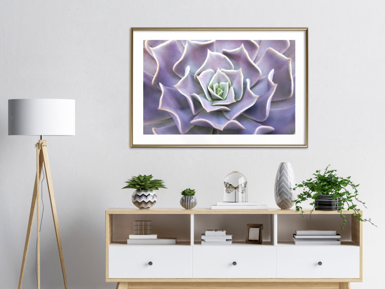 Wall Poster Purple Succulent - plant composition in lavender-colored leaves 117208 additionalImage 22