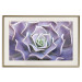 Wall Poster Purple Succulent - plant composition in lavender-colored leaves 117208 additionalThumb 19
