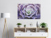 Wall Poster Purple Succulent - plant composition in lavender-colored leaves 117208 additionalThumb 27