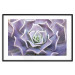 Wall Poster Purple Succulent - plant composition in lavender-colored leaves 117208 additionalThumb 16
