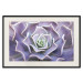 Wall Poster Purple Succulent - plant composition in lavender-colored leaves 117208 additionalThumb 18