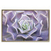 Wall Poster Purple Succulent - plant composition in lavender-colored leaves 117208 additionalThumb 17