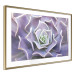 Wall Poster Purple Succulent - plant composition in lavender-colored leaves 117208 additionalThumb 7