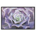 Wall Poster Purple Succulent - plant composition in lavender-colored leaves 117208 additionalThumb 20