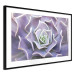 Wall Poster Purple Succulent - plant composition in lavender-colored leaves 117208 additionalThumb 12