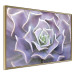 Wall Poster Purple Succulent - plant composition in lavender-colored leaves 117208 additionalThumb 13