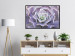 Wall Poster Purple Succulent - plant composition in lavender-colored leaves 117208 additionalThumb 6