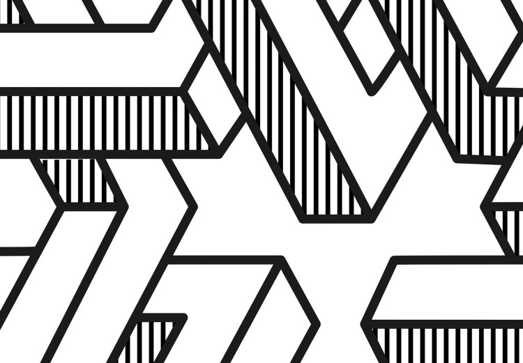 Canvas Geometric maze - black and white abstraction with 3D effect 117508 additionalImage 4