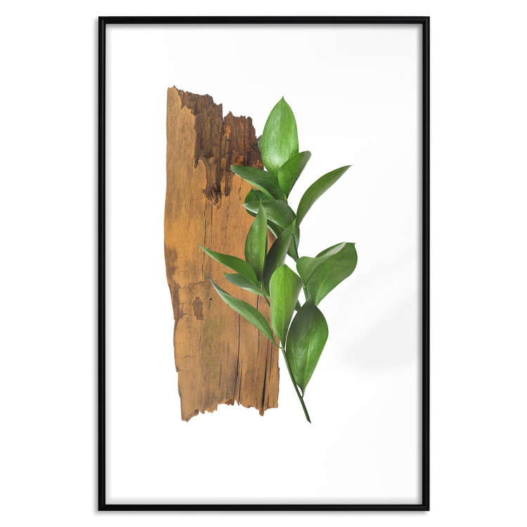 Poster Fascinating Nature - plant and wooden piece of plank on a white background 122608 additionalImage 15