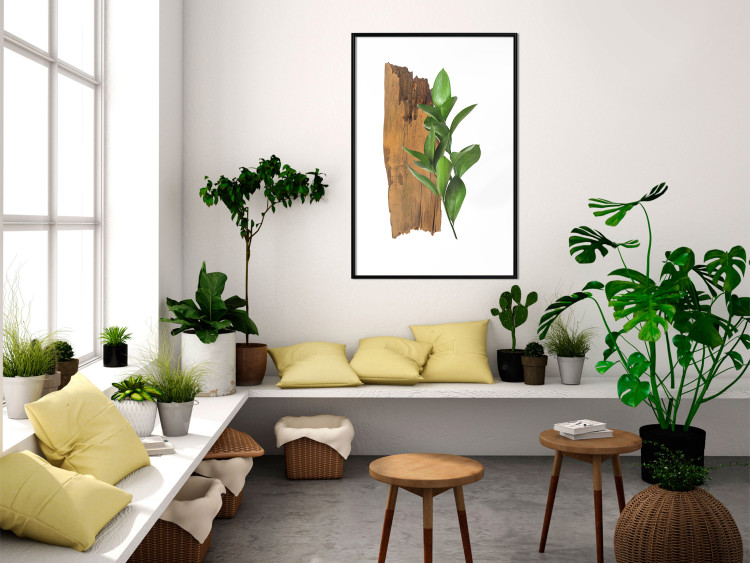 Poster Fascinating Nature - plant and wooden piece of plank on a white background 122608 additionalImage 11