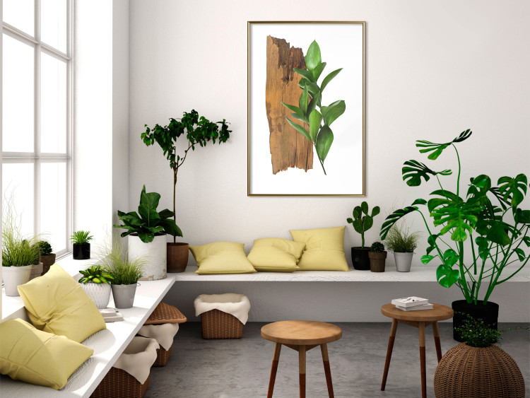 Poster Fascinating Nature - plant and wooden piece of plank on a white background 122608 additionalImage 12