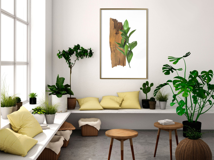 Poster Fascinating Nature - plant and wooden piece of plank on a white background 122608 additionalImage 13