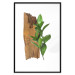 Poster Fascinating Nature - plant and wooden piece of plank on a white background 122608 additionalThumb 15