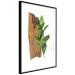 Poster Fascinating Nature - plant and wooden piece of plank on a white background 122608 additionalThumb 4