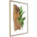 Poster Fascinating Nature - plant and wooden piece of plank on a white background 122608 additionalThumb 10