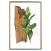 Poster Fascinating Nature - plant and wooden piece of plank on a white background 122608 additionalThumb 16