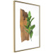 Poster Fascinating Nature - plant and wooden piece of plank on a white background 122608 additionalThumb 5