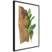 Poster Fascinating Nature - plant and wooden piece of plank on a white background 122608 additionalThumb 9