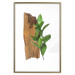 Poster Fascinating Nature - plant and wooden piece of plank on a white background 122608 additionalThumb 14