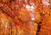 Canvas Art Print Autumn Park (1 Part) Wide 124008 additionalThumb 4