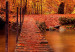 Canvas Art Print Autumn Park (1 Part) Wide 124008 additionalThumb 5