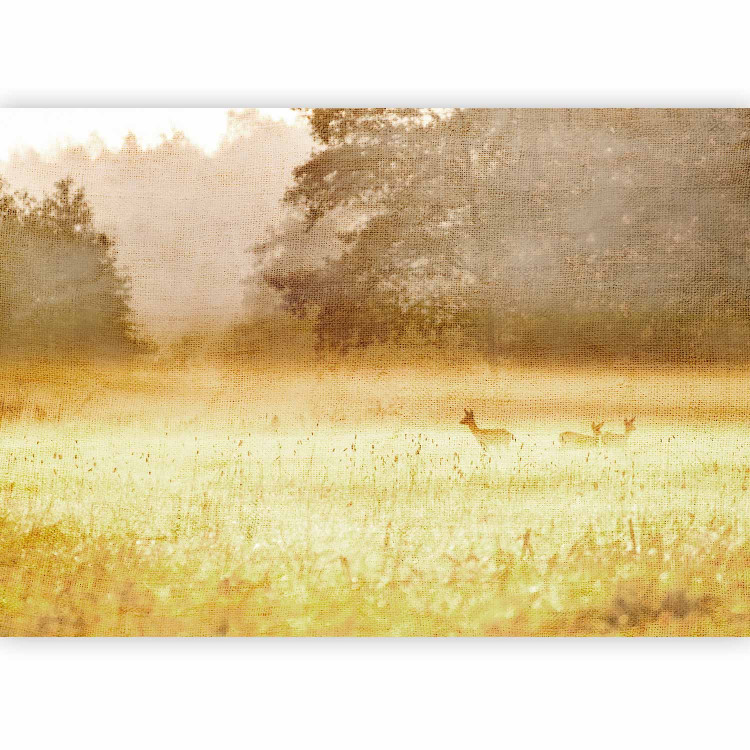 Photo Wallpaper Morning dew - landscape with animals in a golden meadow surrounded by trees 126908 additionalImage 1