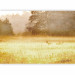 Photo Wallpaper Morning dew - landscape with animals in a golden meadow surrounded by trees 126908 additionalThumb 1