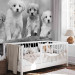 Wall Mural Four Puppies 129008 additionalThumb 5