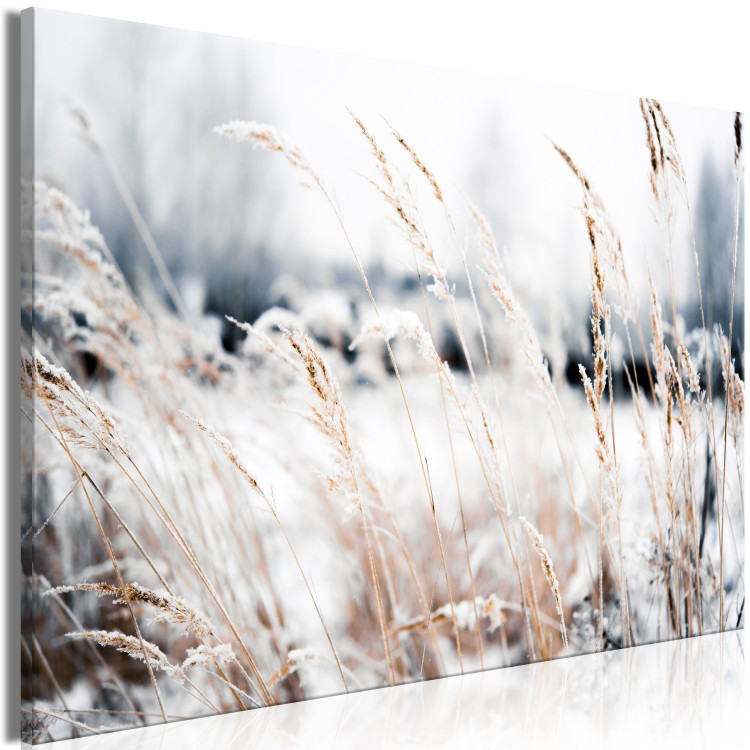 Canvas Print Ice Land (1-piece) Wide - meadow landscape in winter scenery 129808 additionalImage 2