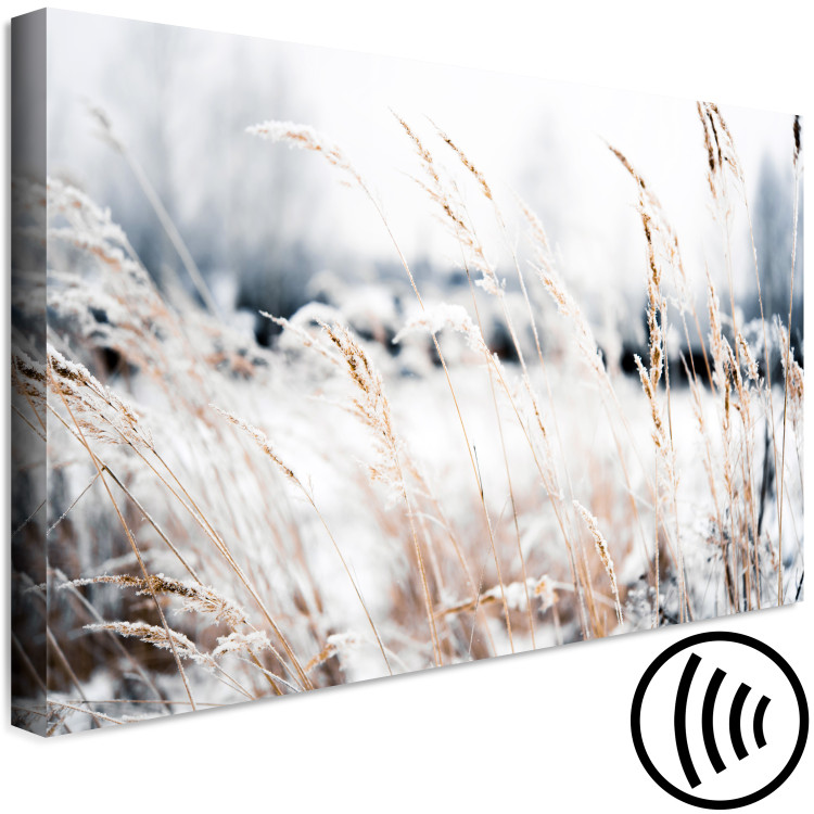 Canvas Print Ice Land (1-piece) Wide - meadow landscape in winter scenery 129808 additionalImage 6