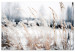 Canvas Print Ice Land (1-piece) Wide - meadow landscape in winter scenery 129808